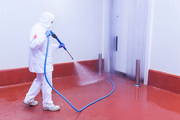Boat and Dock Cleaning in Urbana, MD